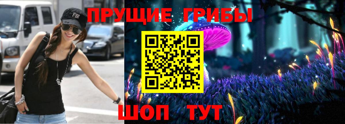 Галлюциногенные грибы прущие грибы  Вход с VPN  Шуя 
